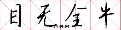 目无全牛